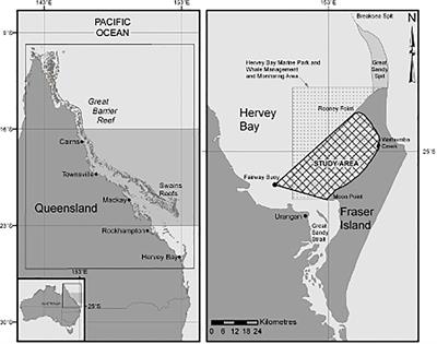 Humpback whales (Megaptera novaeangliae) in Hervey Bay, Australia: a stopover for females early in their southern migration